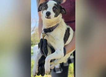 Vicky - kleine quirlige Lady sucht Anschluss