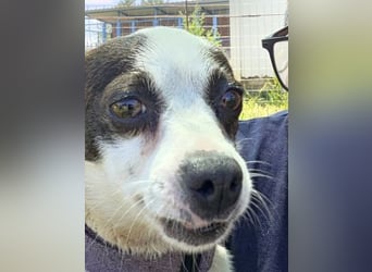Vicky - kleine quirlige Lady sucht Anschluss