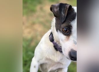 Vicky - kleine quirlige Lady sucht Anschluss
