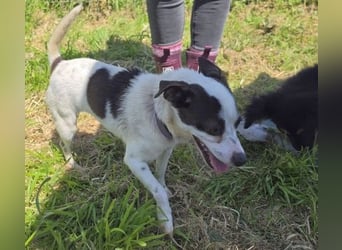 Vicky - kleine quirlige Lady sucht Anschluss