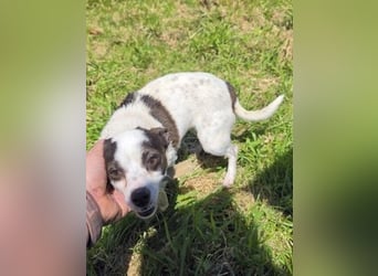 Vicky - kleine quirlige Lady sucht Anschluss