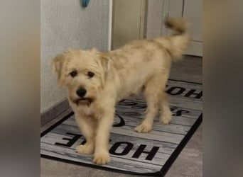 Happy leider nicht Happy