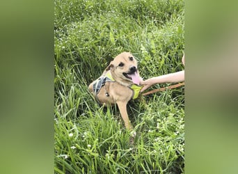 Kleine Endeckerin Penny