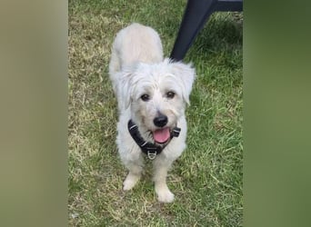 Happy leider nicht Happy