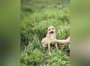 Kleine Endeckerin Penny