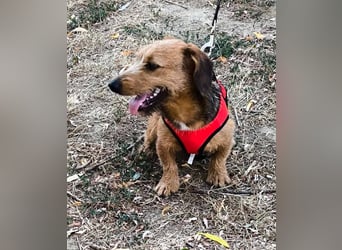 Frohnatur Ute