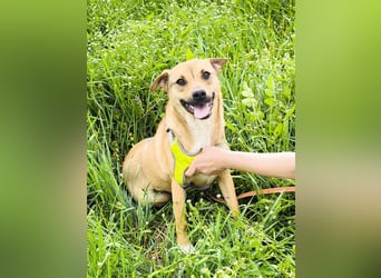 Kleine Endeckerin Penny