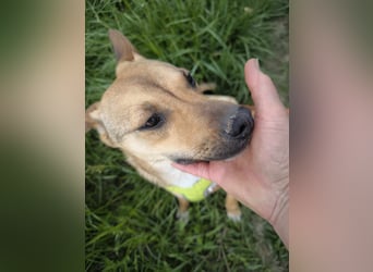 Kleine Endeckerin Penny