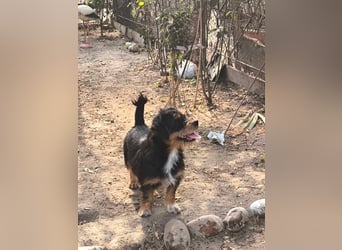 Agile Winnie