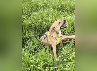 Kleine Endeckerin Penny