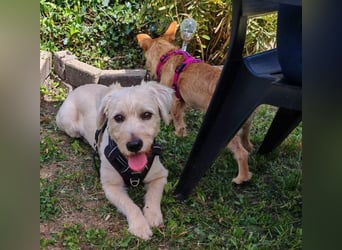 Happy leider nicht Happy