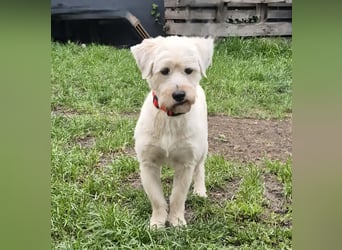 Happy leider nicht Happy