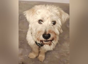 Happy leider nicht Happy