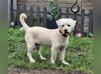 Happy leider nicht Happy