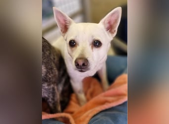Luna und Flocki suchen ein gemeinsames Zuhause