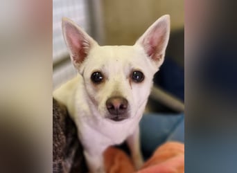 Luna und Flocki suchen ein gemeinsames Zuhause