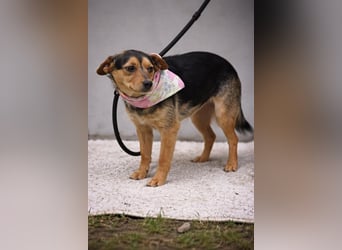 Kleine Tatiana auf der Suche nach ihrem Für-Immer-Zuhause