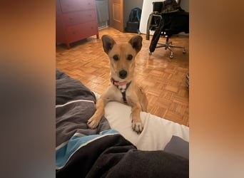 Oliver auf Pflegestelle in Bochum