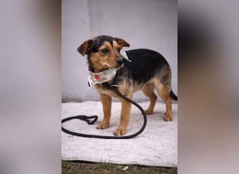 Kleine Tatiana auf der Suche nach ihrem Für-Immer-Zuhause
