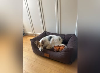 Family auf Pflegestelle in Münster