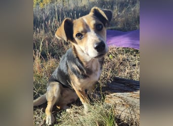 MOLLY - kleine Herzensdame