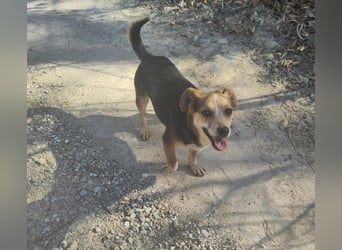 MOLLY - kleine Herzensdame