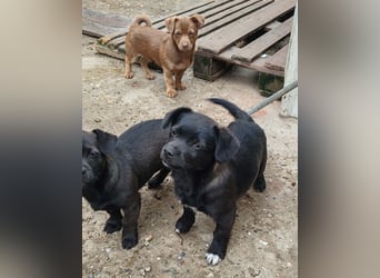 LORIS - Traumzuhause gesucht