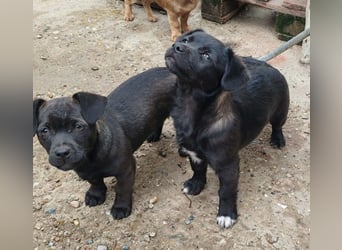 LORIS - Traumzuhause gesucht