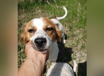 ILA - sanfte Seele sucht ihre Menschen