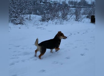 MOLLY - kleine Herzensdame