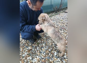 KARMA - kleines fröhliches Mädchen