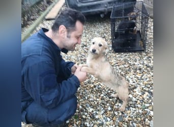 KARMA - kleines fröhliches Mädchen