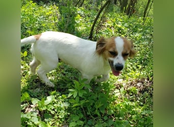 ILA - sanfte Seele sucht ihre Menschen