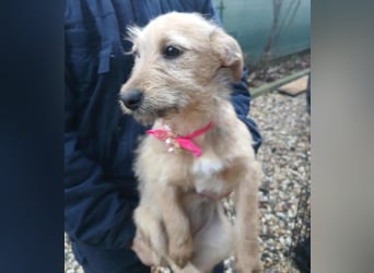 KARMA - kleines fröhliches Mädchen