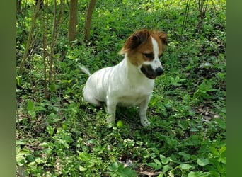 ILA - sanfte Seele sucht ihre Menschen