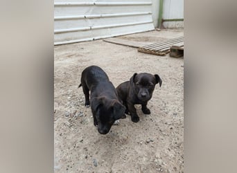 LORIS - Traumzuhause gesucht