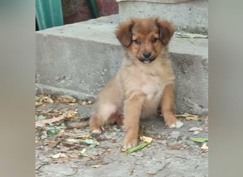 NISAN - wunderschöner Schatz