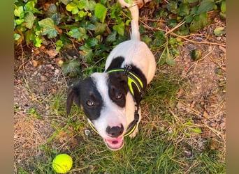 LEXY - kleiner Schatz
