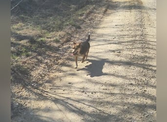 MOLLY - kleine Herzensdame