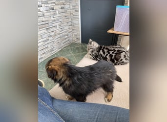 PENNY - kleine Zuckermaus