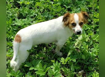 ILA - sanfte Seele sucht ihre Menschen