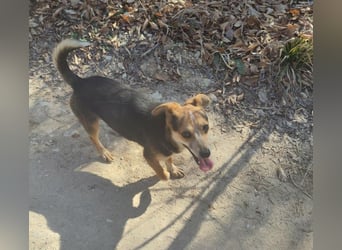 MOLLY - kleine Herzensdame