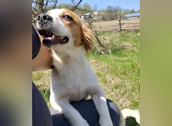 ILA - sanfte Seele sucht ihre Menschen