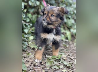 PENNY - kleine Zuckermaus