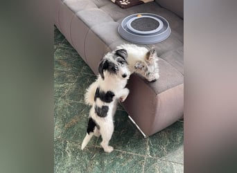 BUNNY - wo findet sie ihr Glück?