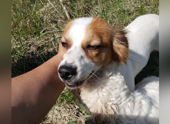 ILA - sanfte Seele sucht ihre Menschen