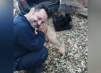 KARMA - kleines fröhliches Mädchen