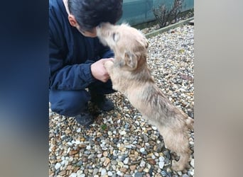 KARMA - kleines fröhliches Mädchen