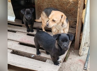 LORIS - Traumzuhause gesucht