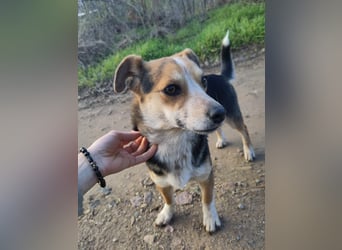 MOLLY - kleine Herzensdame